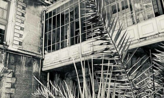 Hôtel de Castries – EMMANUEL COPPEY, VIOLON